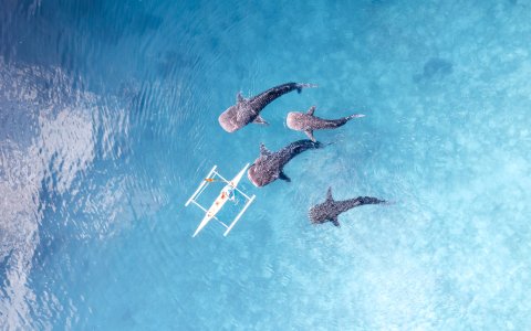 Filipiny - Manila i Cebu (9).jpg